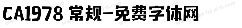 CA1978 常规字体转换